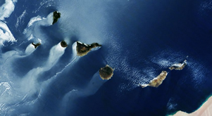 Canarias hoy